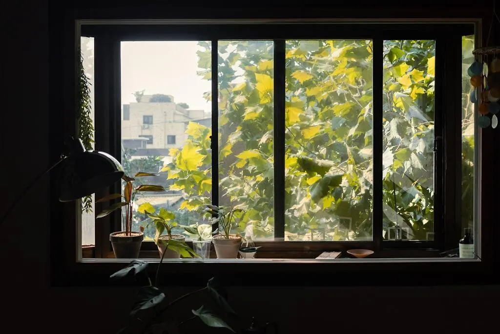 Apartamento Comfy Leafy In Yeonnam Seúl